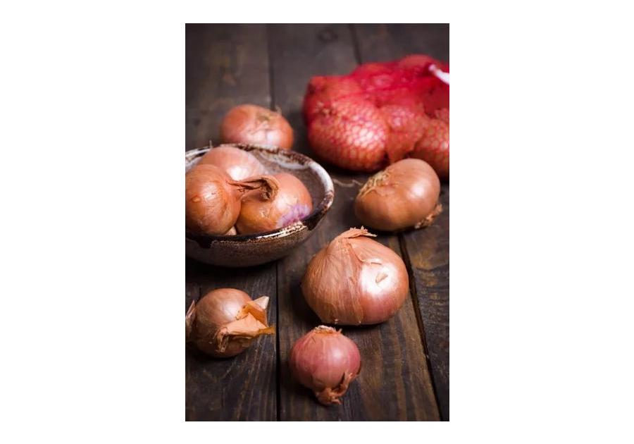 Zdjęcie: Cebula szalotka Red Sun 250 g LEGUTKO