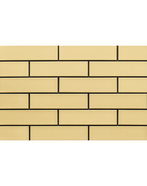 Zdjęcie: Płytka elewacyjna Piaskowa 24,5x6,5 cm CERRAD