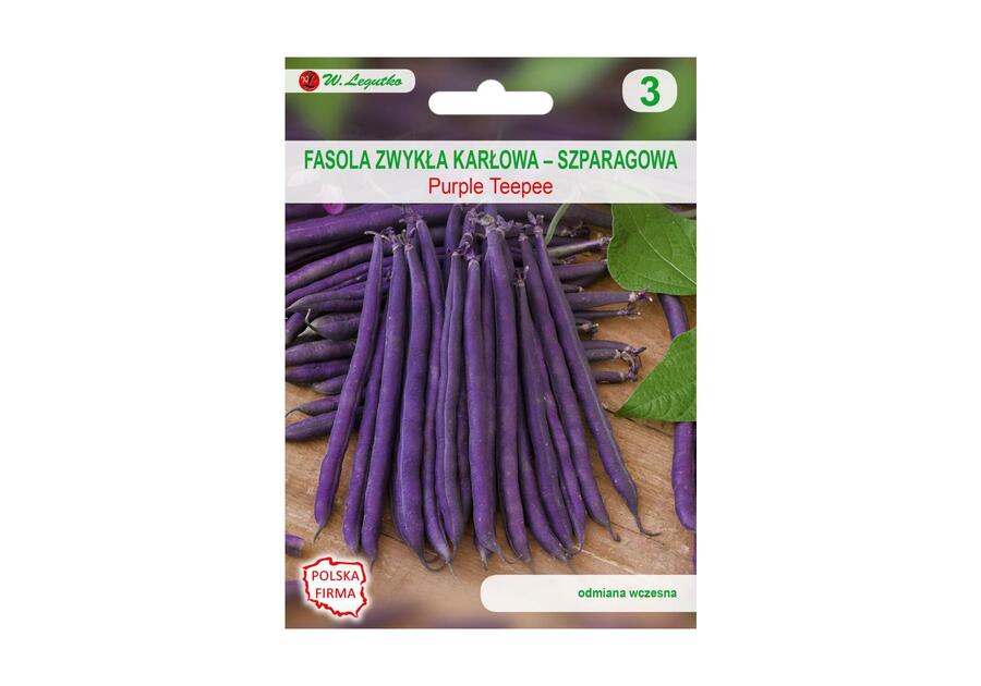 Zdjęcie: Fasola zwykła karłowa Purple teepee nasiona tradycyjne 35 g W. LEGUTKO