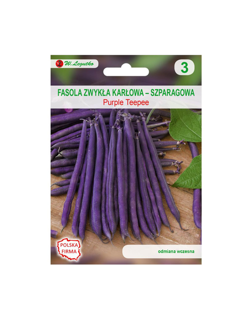 Zdjęcie: Fasola zwykła karłowa Purple teepee nasiona tradycyjne 35 g W. LEGUTKO