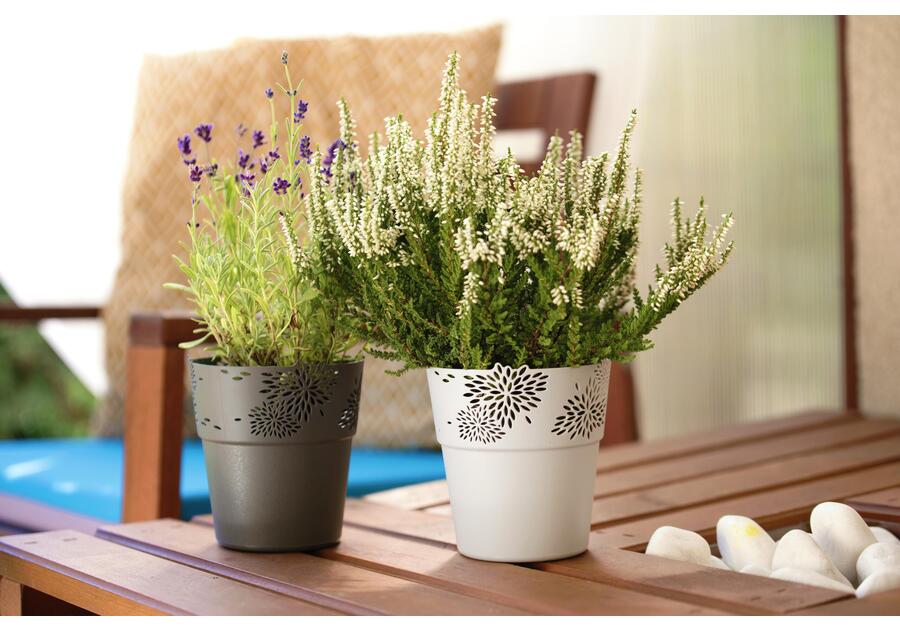 Zdjęcie: Osłonka Aster 13 cm biała VERDENIA