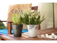 Zdjęcie: Osłonka Aster 13 cm biała VERDENIA