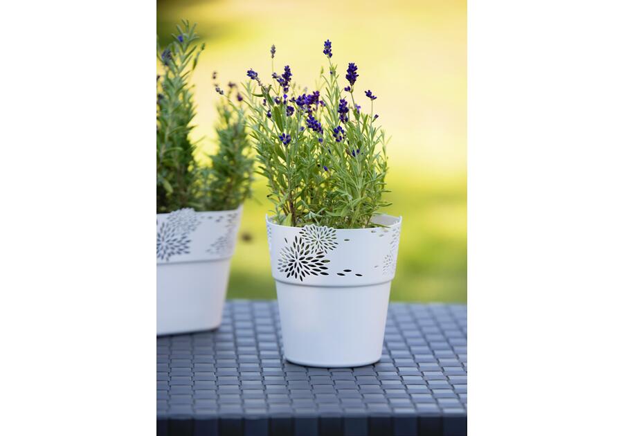 Zdjęcie: Osłonka Aster 13 cm biała VERDENIA