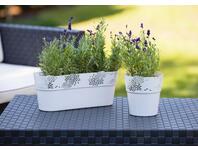 Zdjęcie: Osłonka Aster 13 cm biała VERDENIA