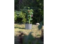 Zdjęcie: Donica Koma walec 310, antracyt LAMELA