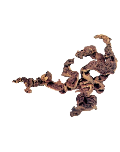 Zdjęcie: Ozdoba akwarystyczna korzeń Mopani duży 23x45x25 cm ZOLUX