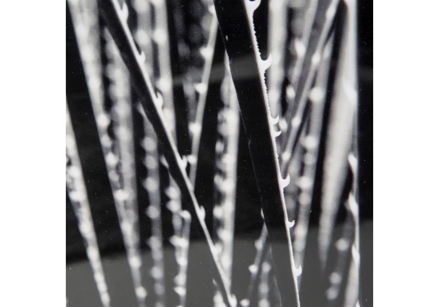 Zdjęcie: Obraz Nature 1, 50x70x3 cm EUROFIRANY