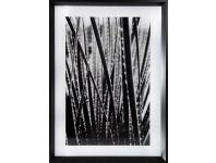 Zdjęcie: Obraz Nature 1, 50x70x3 cm EUROFIRANY