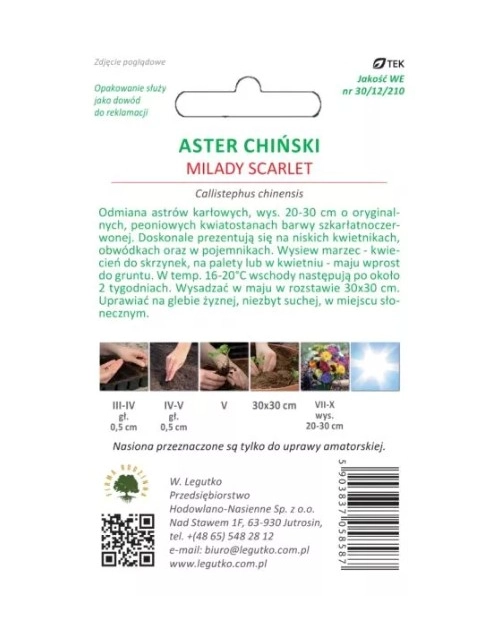 Zdjęcie: Aster chiński Milady Scarlet czerwony 1g W.LEGUTKO