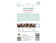 Zdjęcie: Aster chiński Milady Scarlet czerwony 1g W.LEGUTKO