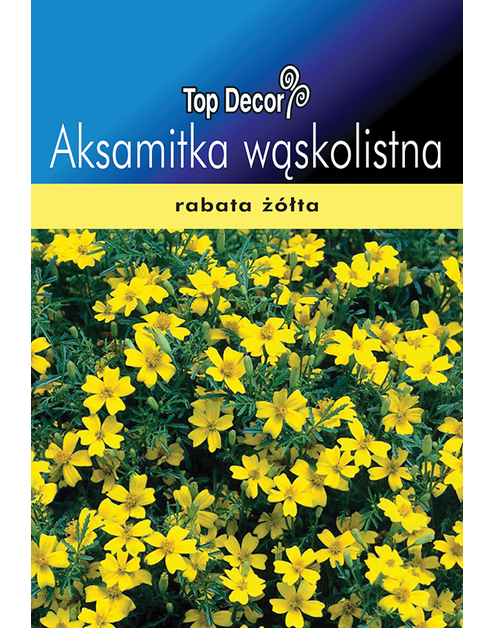 Zdjęcie: Aksamitka wąskolistna TOP DECOR