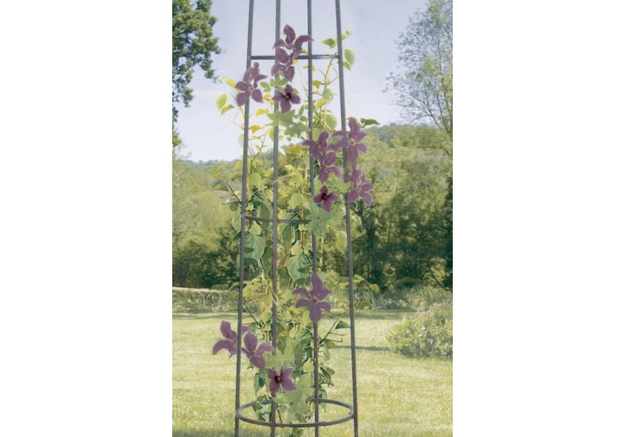 Zdjęcie: Pergola w kształcie słupa Obelisk 2 m, brązowy NORTENE