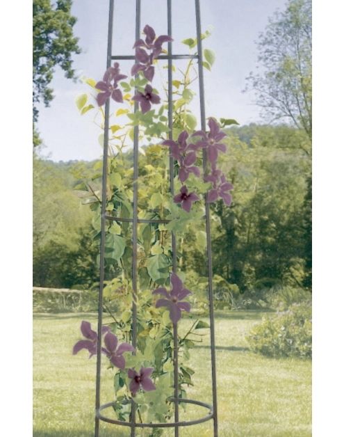 Zdjęcie: Pergola w kształcie słupa Obelisk 2 m, brązowy NORTENE
