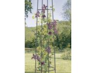 Zdjęcie: Pergola w kształcie słupa Obelisk 2 m, brązowy NORTENE