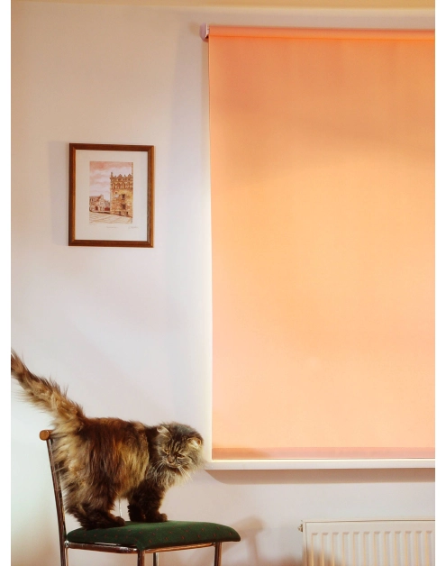 Zdjęcie: Roleta zwijana K822 240x175 cm KARWEL