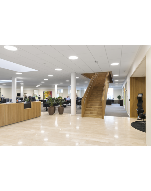 Zdjęcie: Płyta sufitowa Blanka D 1200x600x20 mm akustyczny sufit podwieszany ROCKFON