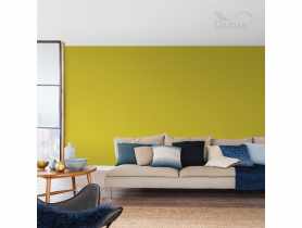 Tester farby Kolory Świata 0,03 L ryżowe pola DULUX