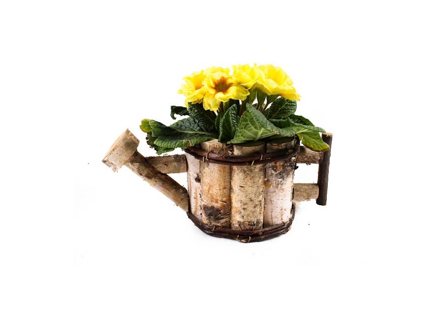 Zdjęcie: Doniczka z brzozy w kształcie konewki z folią 32x17x12 cm TIN TOURS