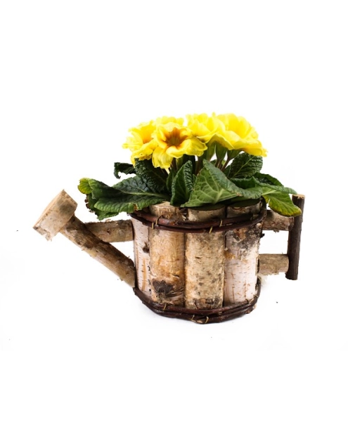 Zdjęcie: Doniczka z brzozy w kształcie konewki z folią 32x17x12 cm TIN TOURS