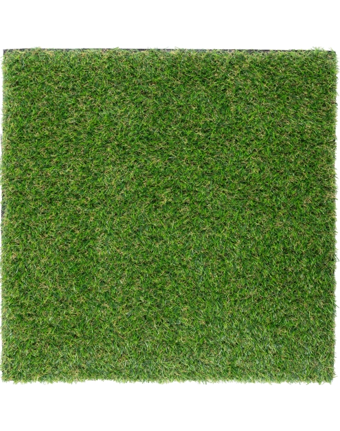 Zdjęcie: Sztuczna trawa Eden Cheer 4 m, 25 mm MULTI-DECOR