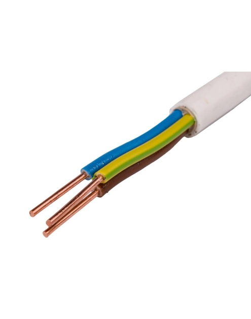 Zdjęcie: Przewód elektryczny YDY 3x1,5 ELEKTROKABEL