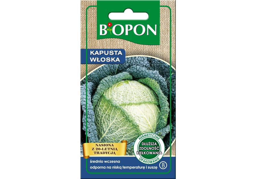 Zdjęcie: Kapusta włoska Aubervilliers 1 g BIOPON