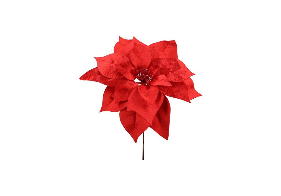 Zdjęcie: Gwiazda betlejemska pik 24 cm czerwona JUMI