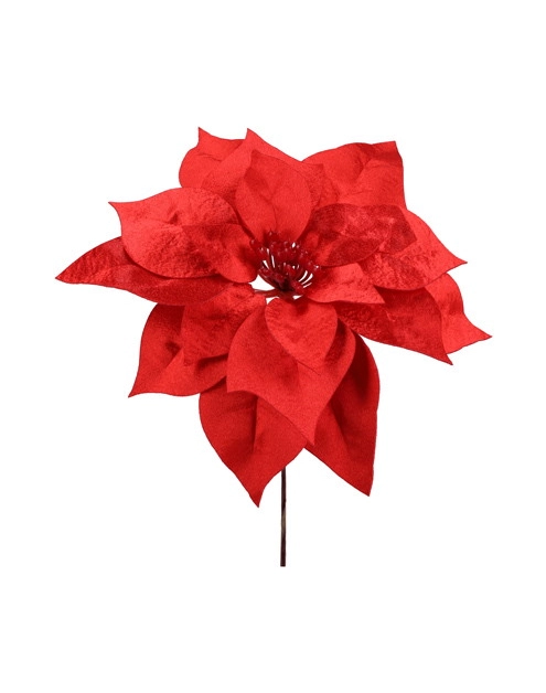 Zdjęcie: Gwiazda betlejemska pik 24 cm czerwona JUMI