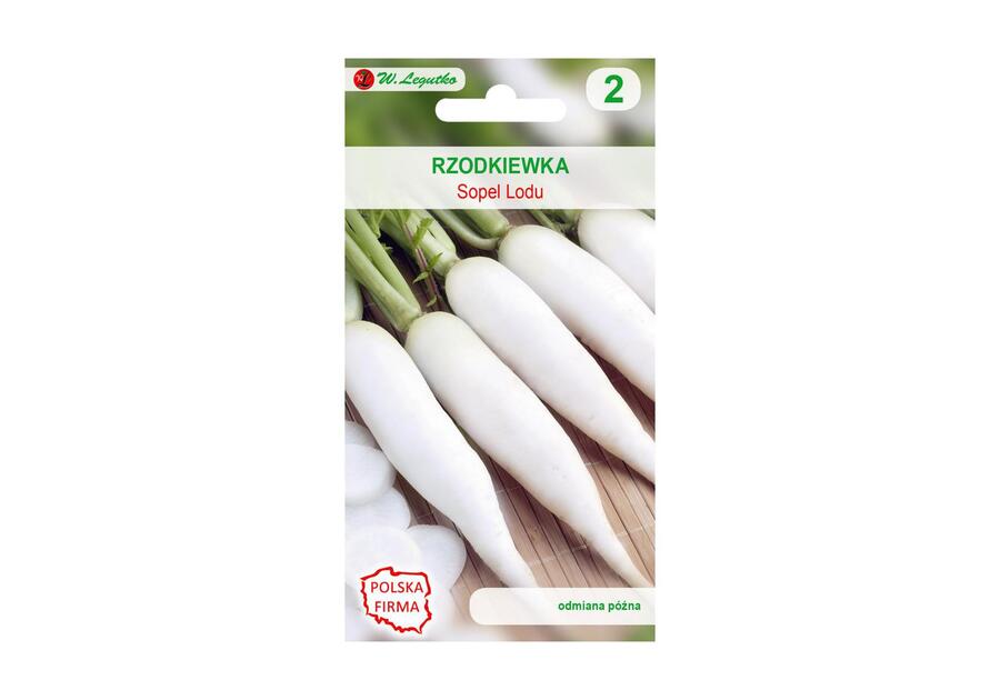 Zdjęcie: Rzodkiewka Sopel Lodu nasiona tradycyjne 10 g W. LEGUTKO