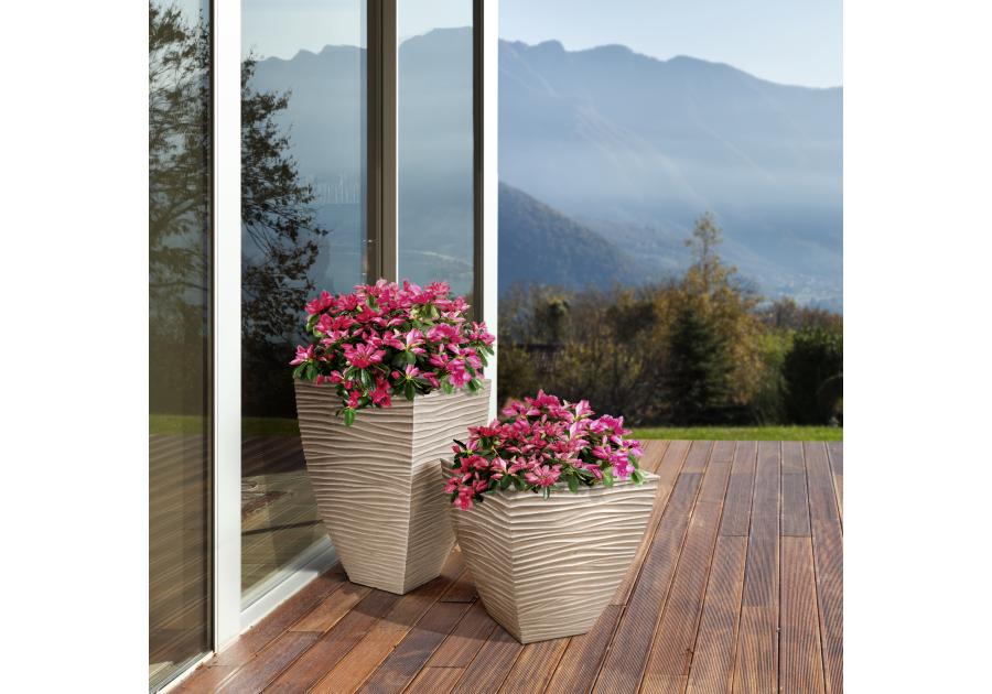 Zdjęcie: Donica Sylt VOG