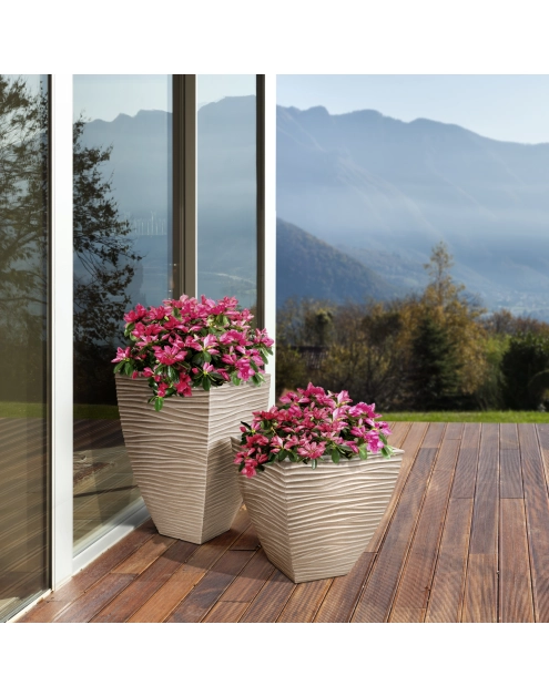 Zdjęcie: Donica Sylt VOG