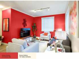 Farba Barwy Natury bukiet róż 124 2,5L ŚNIEŻKA