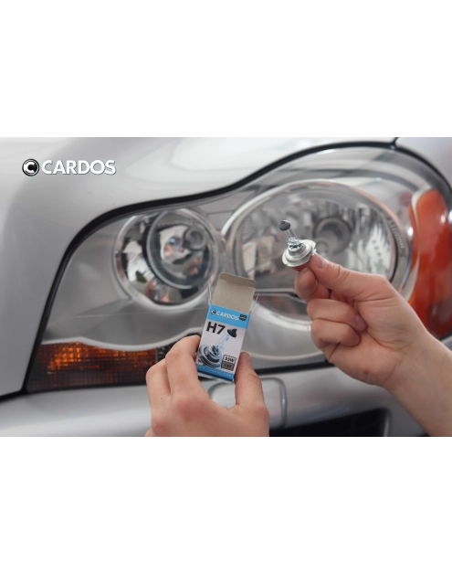Zdjęcie: Halogen H7 12 V CARDOS