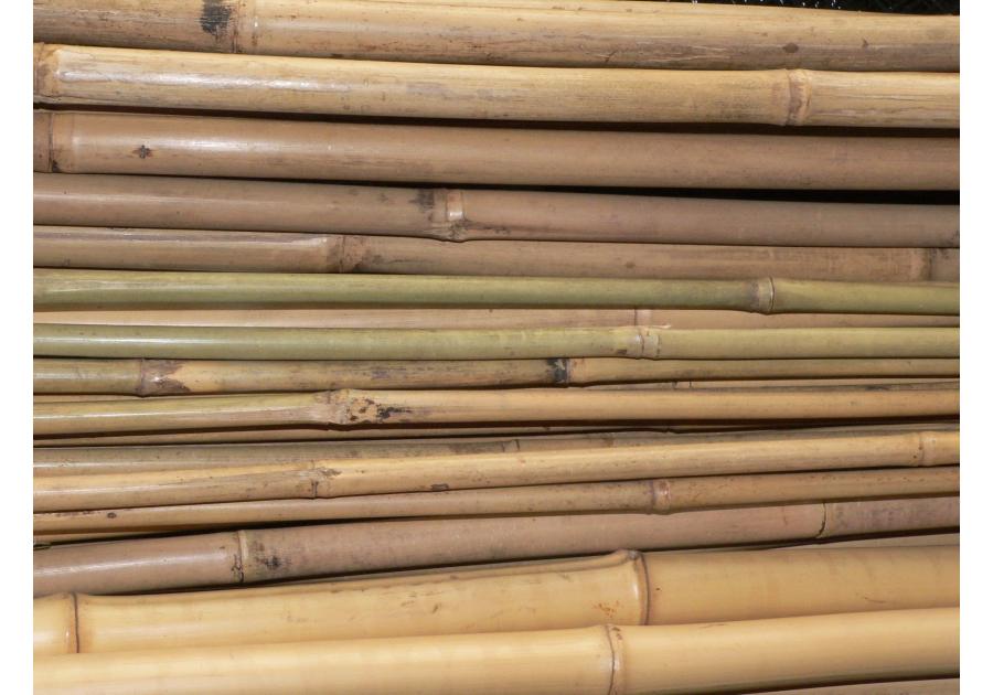 Zdjęcie: Tyczka bambusowa 150 cm RIM KOWALCZYK