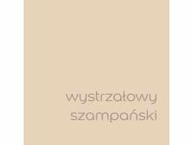 Tester farby EasyCare 0,03 L wystrzałowy szampański DULUX