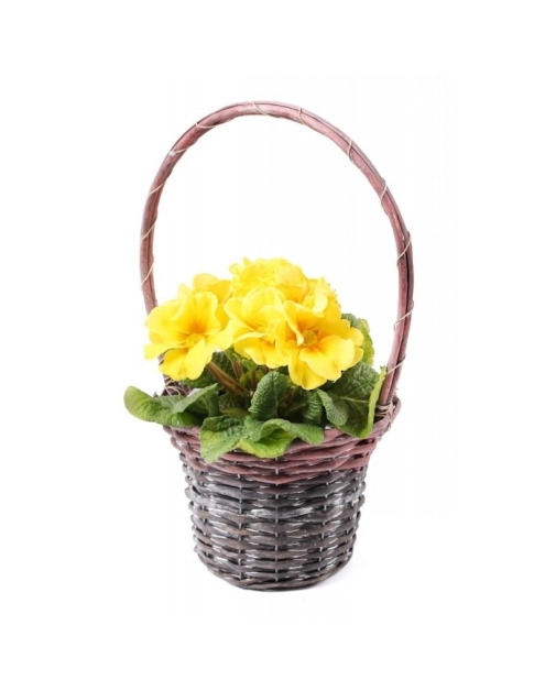 Zdjęcie: Koszyk do obsadzania kwiatami osłonka z folią 19,5x14,5/38 cm TIN TOURS
