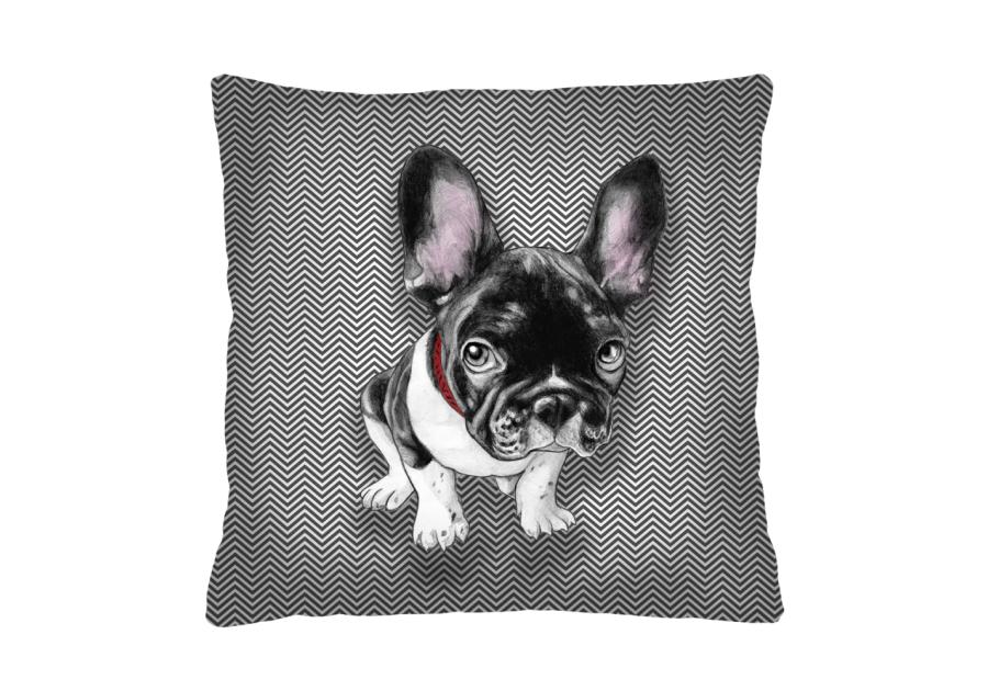 Zdjęcie: Poduszka Chester 40x40 cm BERTONI