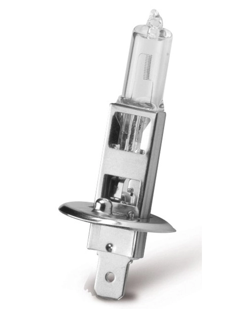 Zdjęcie: Żarówka halogenowa H1 12 V, 55 W BOTTARI