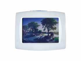 Lampka wtykowa LED Tivi LED 0,4 W kolor biały 0,4 W STRUHM