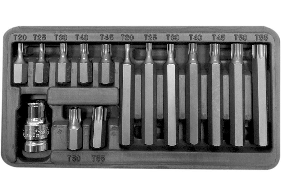 Zdjęcie: Zestaw końcówek 10 mm, Torx security, t20-t55,l=30/75 mm,15 szt. PROLINE