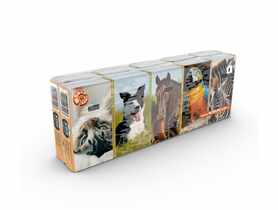Chusteczki higieniczne 3 warstwowe pakiet 10x10 KING OF ANIMALS