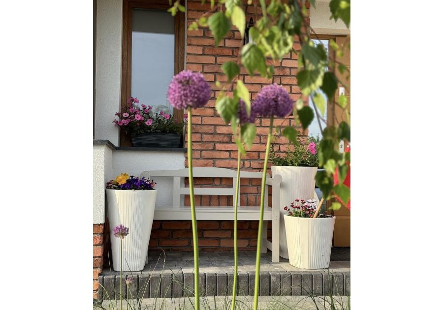 Zdjęcie: Donica średnia Muza 390 mm biały LAMELA