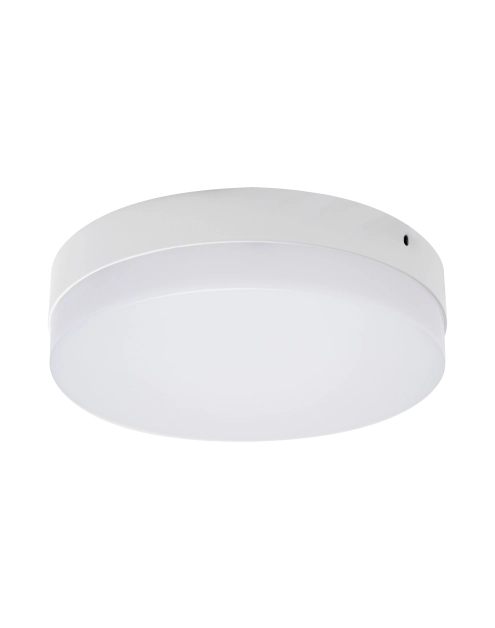 Zdjęcie: Oprawa sufitowa SMD Robin Led C 24W kolor biały STRUHM