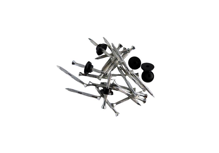 Zdjęcie: Gwoździe z podkładkami do montażu folii kubełkowej 100 szt. PLAST-MASTER