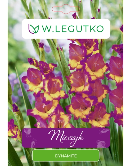 Zdjęcie: Mieczyk Dynamite seria tradycyjna W.LEGUTKO