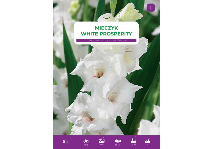 Zdjęcie: Mieczyk White Prosperity LEGUTKO