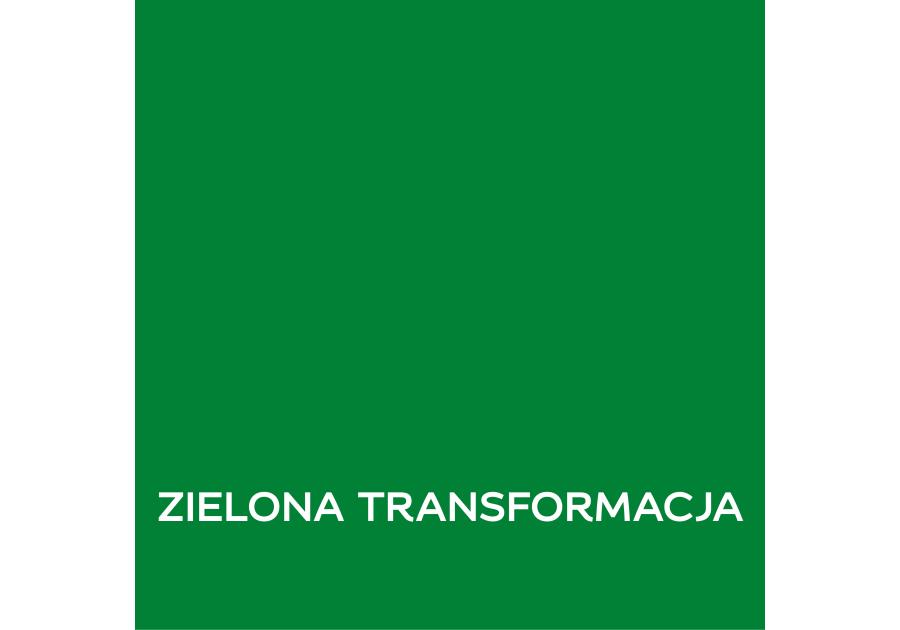 Zdjęcie: Farba lateksowa 1 L zielona transformacja matowa EASYCARE DISNEY