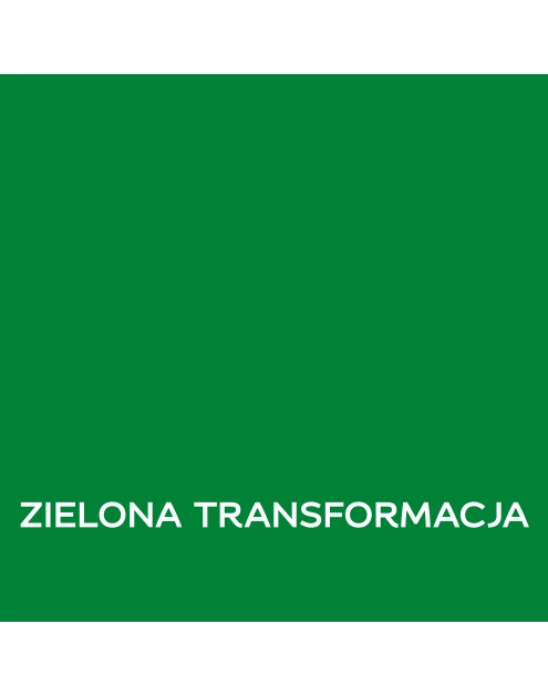 Zdjęcie: Farba lateksowa 1 L zielona transformacja matowa EASYCARE DISNEY
