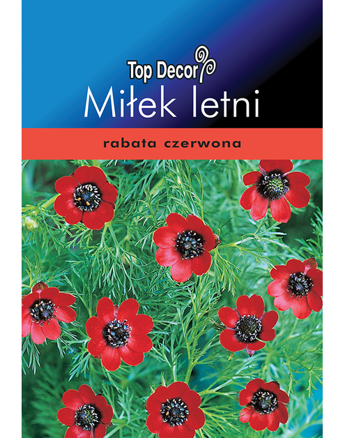 Zdjęcie: Miłek letni TOP DECOR