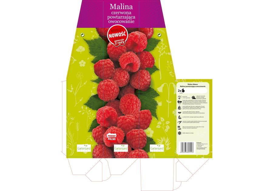 Zdjęcie: Malina czerwona 2-razy owocująca GARTENLAND